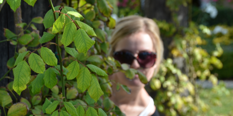 Woman wearing black sunglasses standing behind bright green leaves. The woman has blond hair and a black shirt.