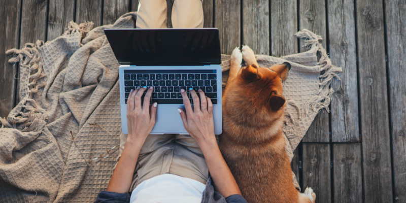 Person sitting outside with their dog working on their laptop